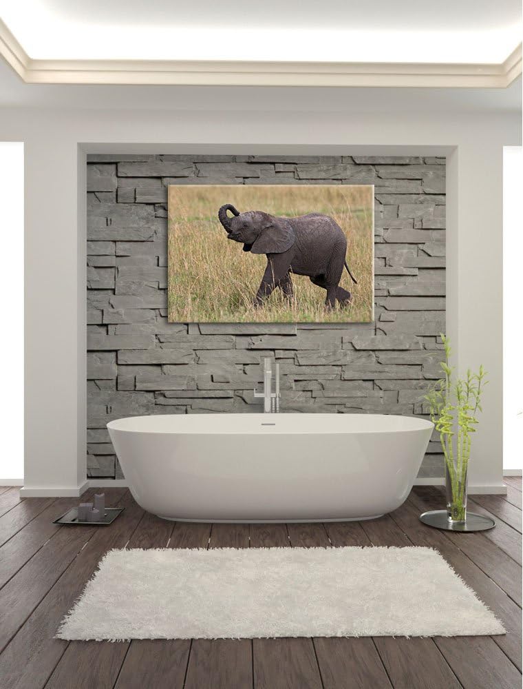 kleines Elefantenjunges Leinwand, XXL riesige Bilder fertig gerahmt mit Keilrahmen, Kunstdruck auf W