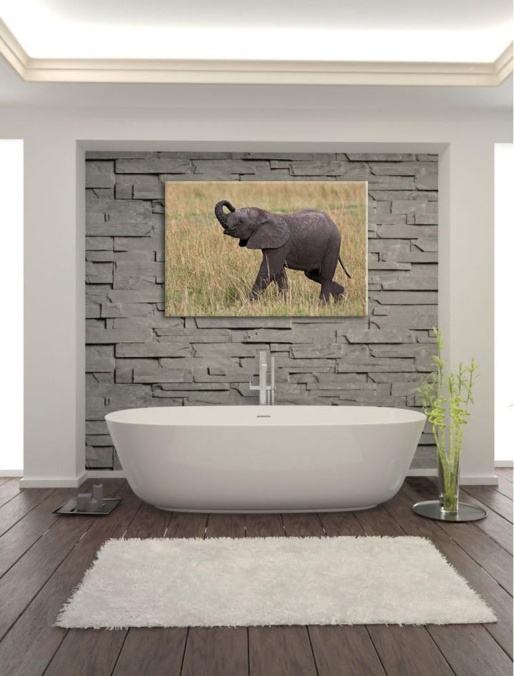 kleines Elefantenjunges Leinwand, XXL riesige Bilder fertig gerahmt mit Keilrahmen, Kunstdruck auf W