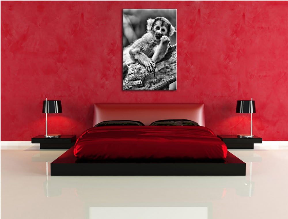 Pixxprint Kapuzineräffchen / 100x70cm Leinwandbild bespannt auf Holzrahmen/Wandbild Kunstdruck Dekor
