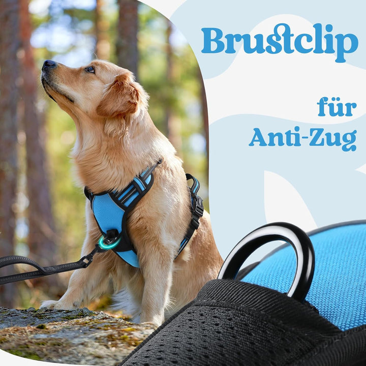 rabbitgoo Hundegeschirr Mittelgrosse Hunde, Verstellbare Geschirr Hund ohne Zug & Würgen, Anti Zug H