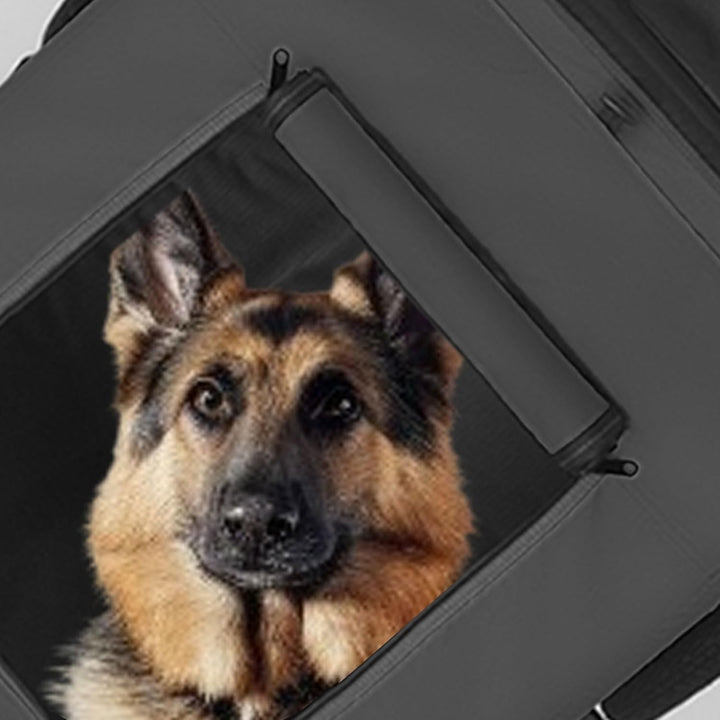 Tiggo VS Pets L Hundeanhänger gross Fahrradanhänger für mittelgrosse und grosse Hunde bis 35 kg, Kla