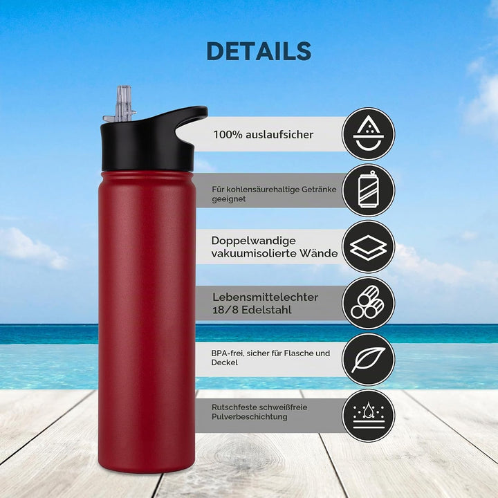 Edelstahl Trinkflasche - 750ml - mit Strohhalm,Auslaufsicher,Kohlensäure Geeignet,BPA frei Thermosfl