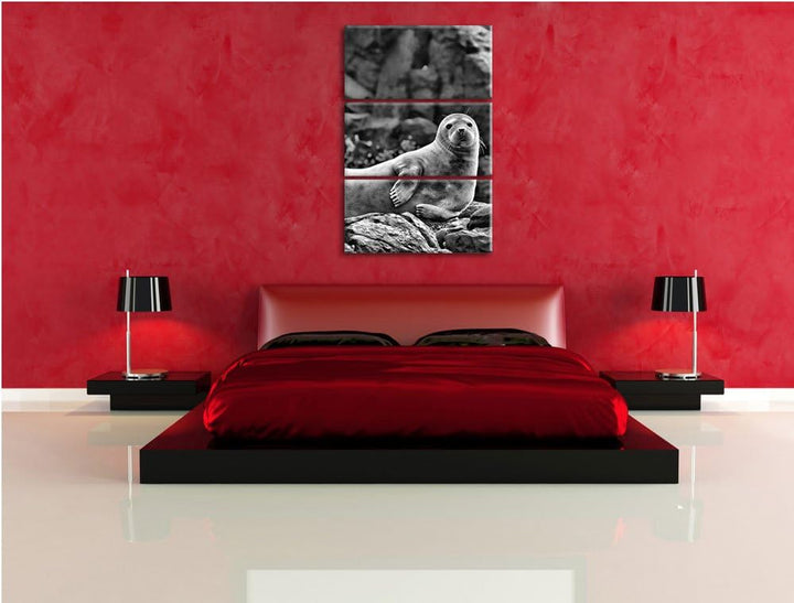 Pixxprint Robbe entspannt auf Felsen als Leinwandbild/Grösse: 3 Teilig (120x80) cm/Wandbild/Kunstdru