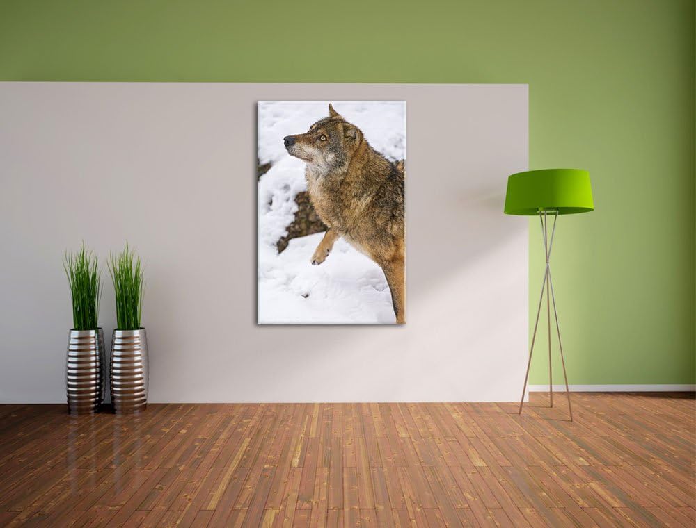 Pixxprint schöner Wolf im Schnee auf Leinwand, XXL riesige Bilder fertig gerahmt mit Keilrahmen, Kun