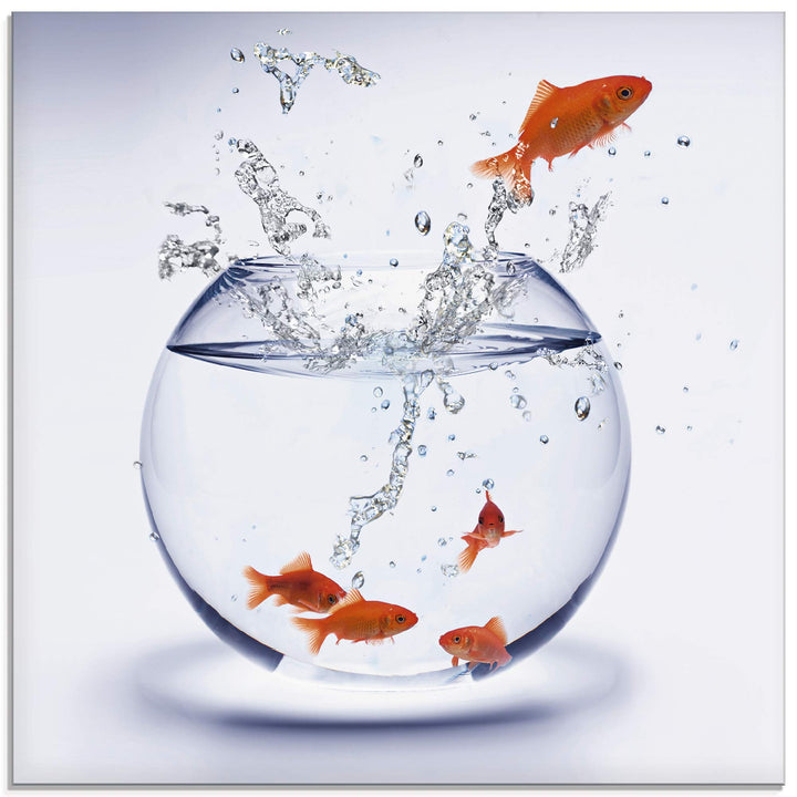 ARTland Glasbilder Wandbild Glas Bild einteilig 40x40 cm Quadratisch Tiere Fische Goldfisch Aquarium