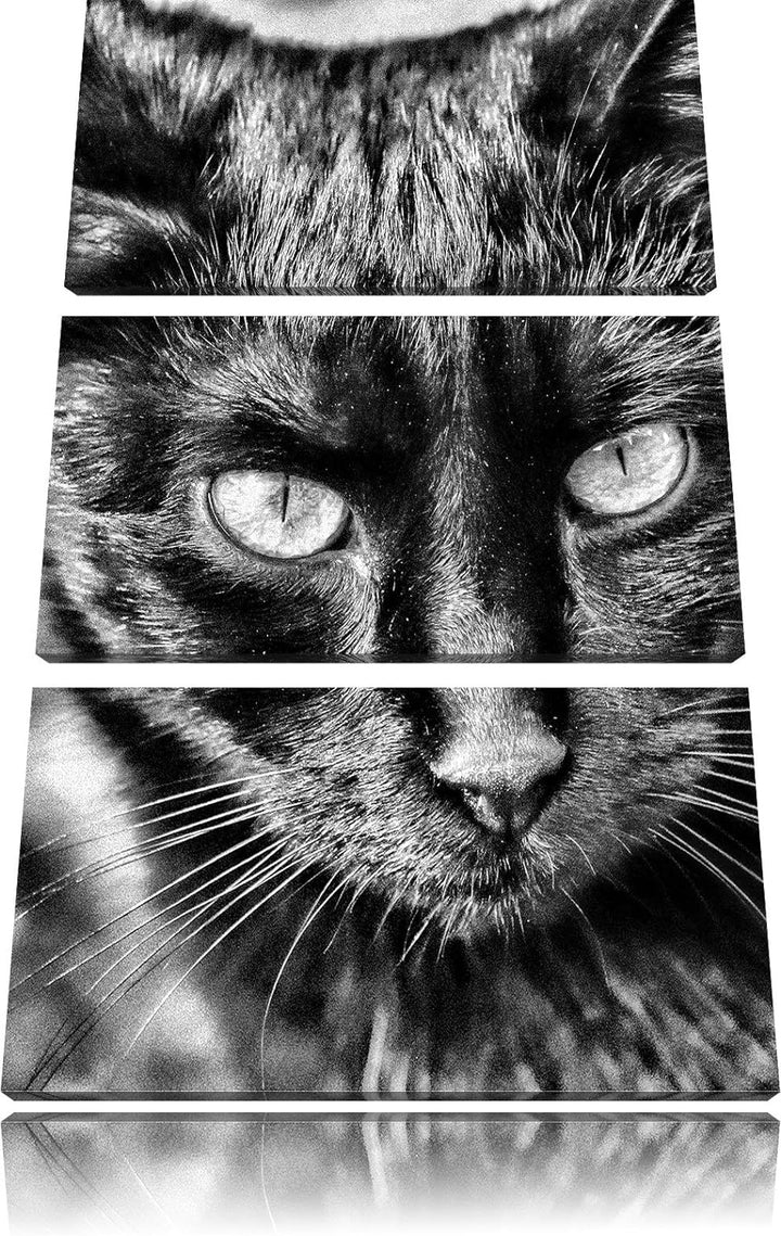 Pixxprint Schwarze Katze als Leinwandbild/Grösse: 3 Teilig (120x80) / Wandbild/Kunstdruck/fertig bes