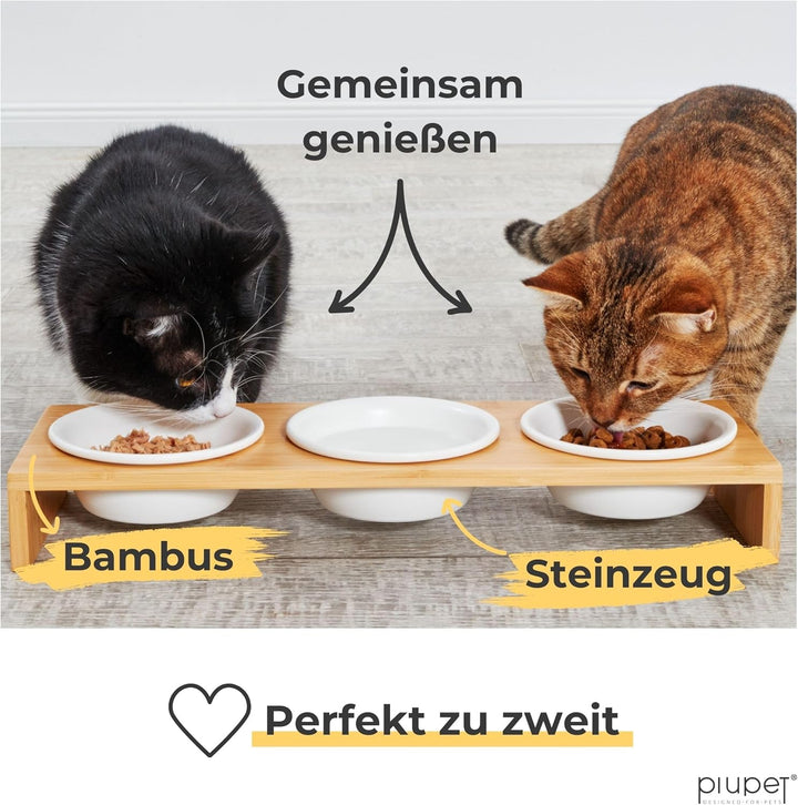 PiuPet® Katzennapf 3er Set I 250ml I Spülmaschinenfest I Erhöhte Futternäpfe für Katzen &amp; kleine Hun
