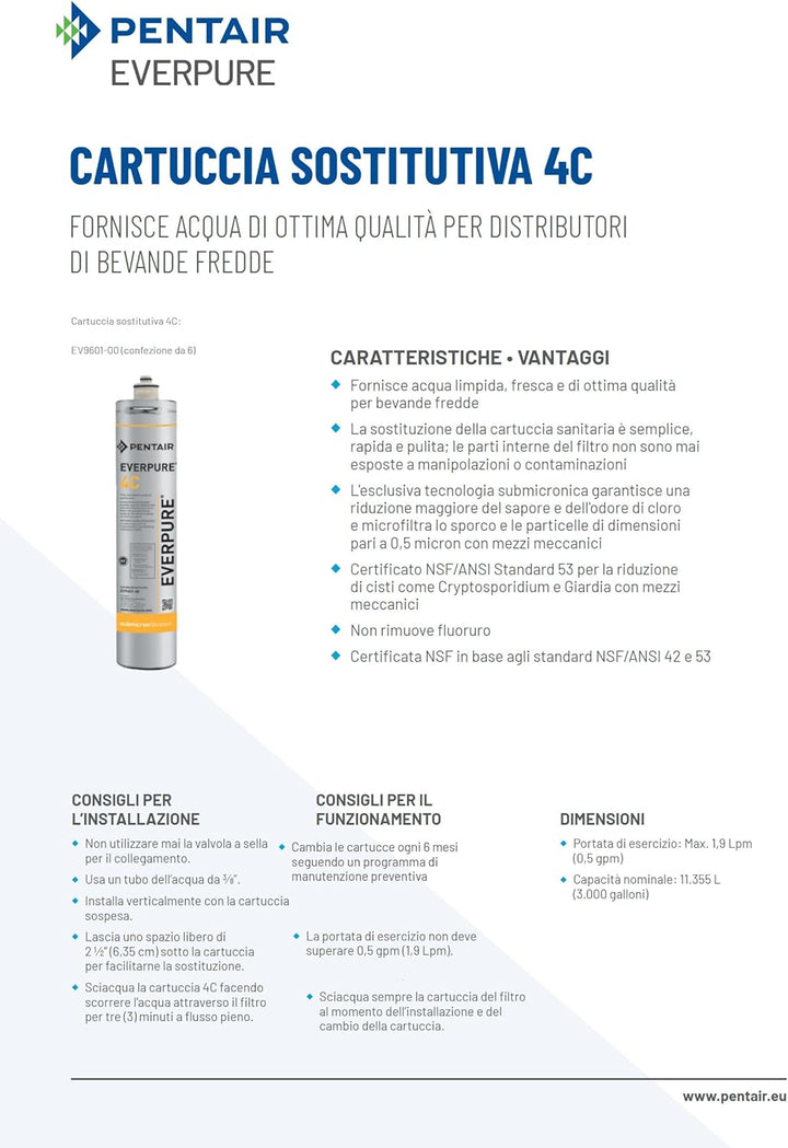 Everpure EV9601-00 4C Wasserfilter Sys SGL, grau, 1 Stück (1er Pack)