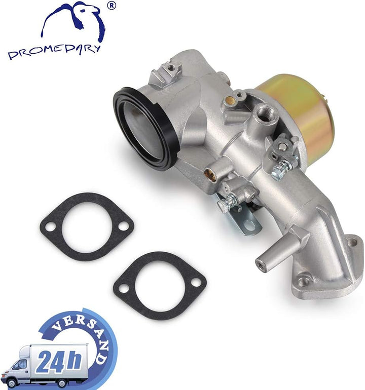 Dromedary Vergaser für Briggs & Stratton 491026 281707 491031 490499 281702