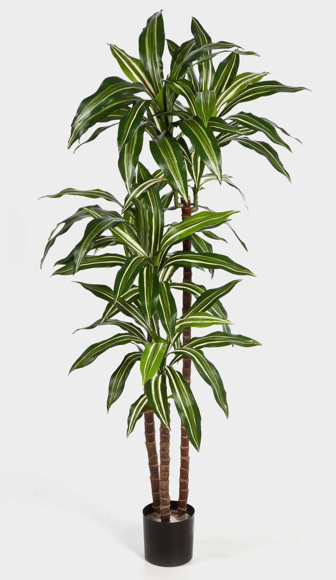 artplants.de Deko Dracaena Fragrans Staude, weiss - grün, 120cm | naturgetreuer Kunstbaum - Künstlic