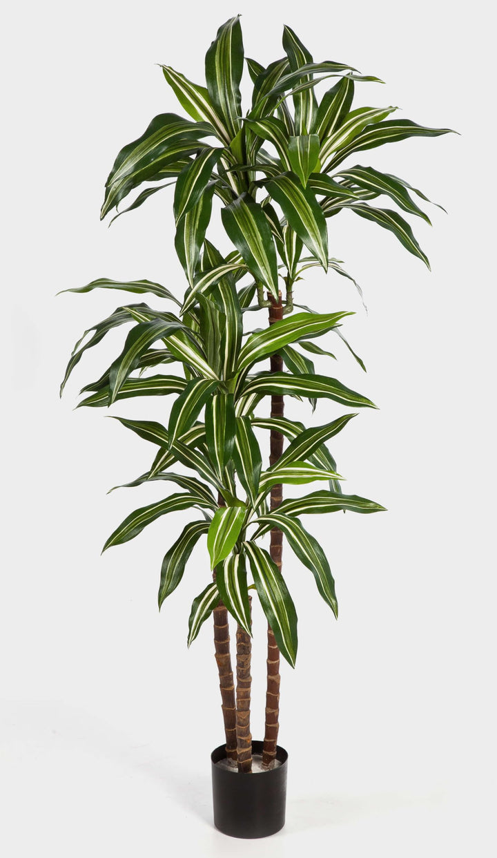 artplants.de Deko Dracaena Fragrans Staude, weiss - grün, 120cm | naturgetreuer Kunstbaum - Künstlic