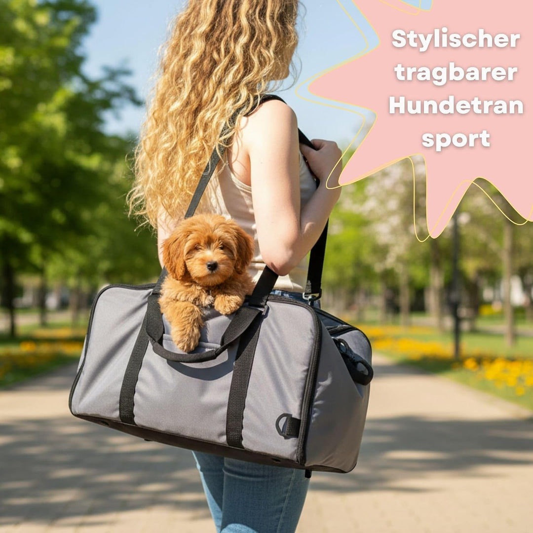 SOLDAY 3-in-1 Auto Hundeautositz Mittelkonsole Mit Sicherheitsleine grau | Bis 6 kg Für Haustiere Au