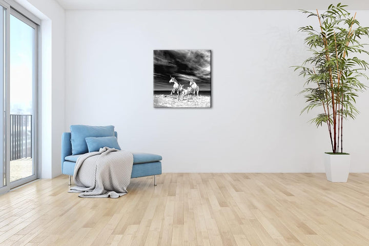 galoppierende Einhörner am Strand Format: 70x70 Effekt: Schwarz&Weiss als Leinwandbild, Motiv fertig