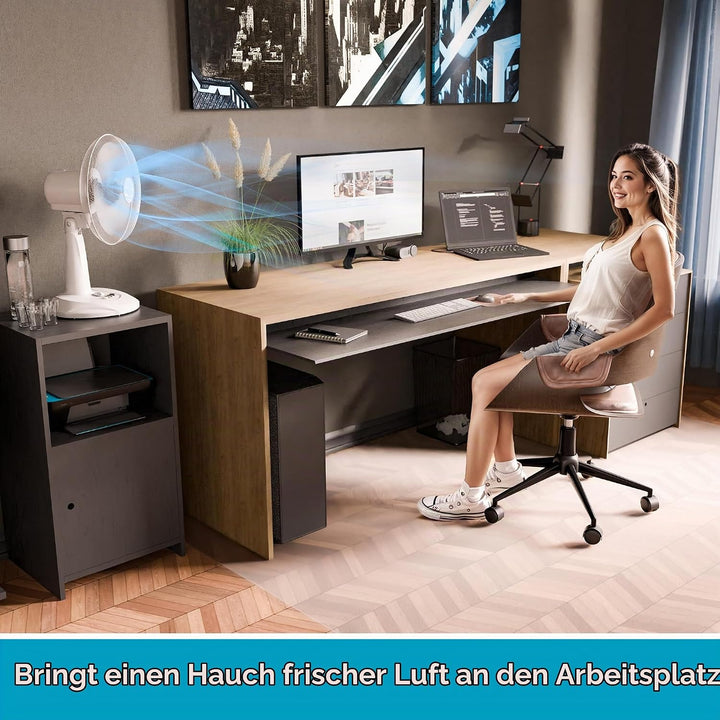 SUNTEC Tischventilator Timer CoolBreeze 3000 TV - Leise 30 cm, 40 Watt | Tisch Ventilator 3 Stufen,