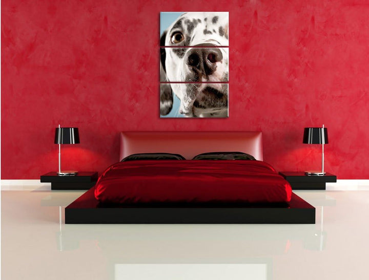 Pixxprint Süsser Dalmatiner als Leinwandbild/Grösse: 3 Teilig (120x80) cm/Wandbild/Kunstdruck/fertig