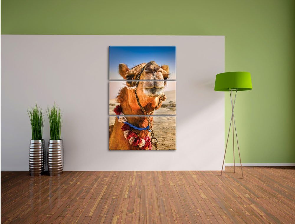 Pixxprint Lustiges Kamel in Wüste als Leinwandbild/Grösse: 3 Teilig (120x80) cm/Wandbild/Kunstdruck/