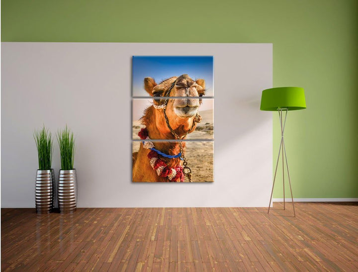 Pixxprint Lustiges Kamel in Wüste als Leinwandbild/Grösse: 3 Teilig (120x80) cm/Wandbild/Kunstdruck/