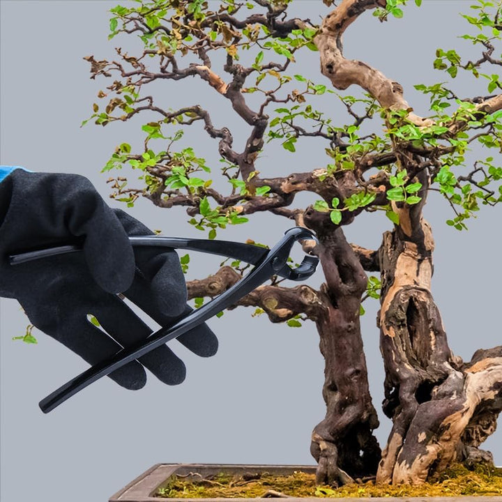LEONTOOL Bonsai-Werkzeug-Set – 20,3 cm konkave Schneider und 20,3 cm kugelförmige Knaufschneider, Ka