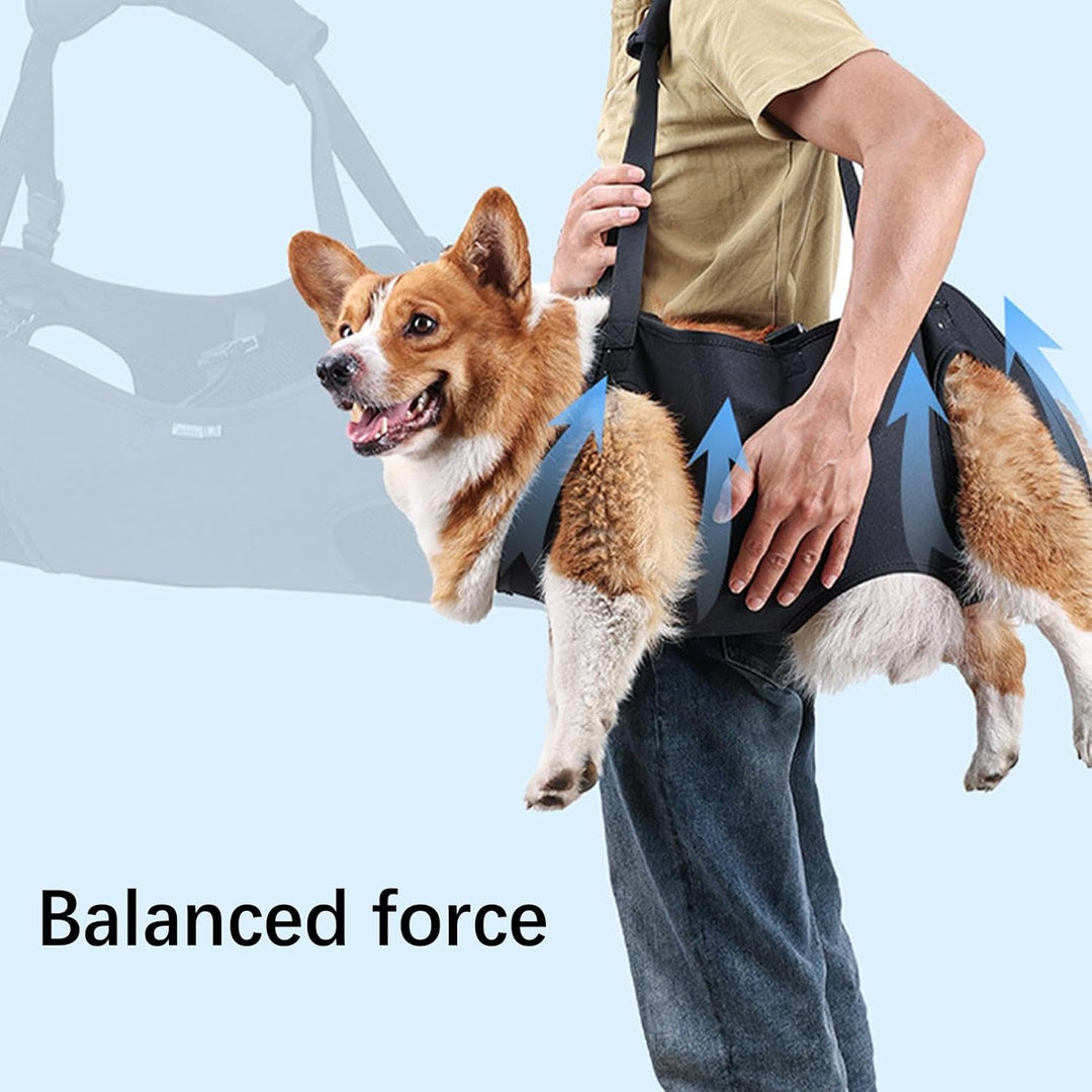 Hundetragegeschirr | Haustier-Rehabilitations-Tragegurt | Hundetragetuch | Hebegeschirr für Hunde |