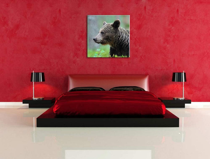 Pixxprint Kleiner Bär, Format: 70x70 auf Leinwand, XXL riesige Bilder fertig gerahmt mit Keilrahmen,