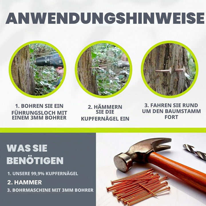 Kupfer Baumstumpf Killer/Massives Kupfer Schlagkraft Nägel - Eltern - 50 x 65mm, 50 x 65mm