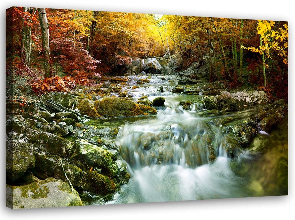 Feeby Bild auf Leinwand Bach Kunstdruck modern Wald Gelb 80x60 cm