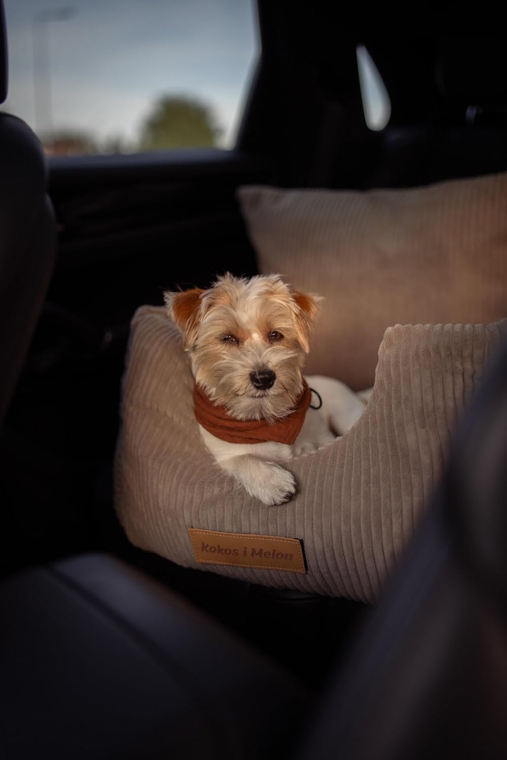 Personalisiert Hunde Autositz, Autositze Hund Rückbank mit Leine, Hundeautositz mit Hundenamen, Hund
