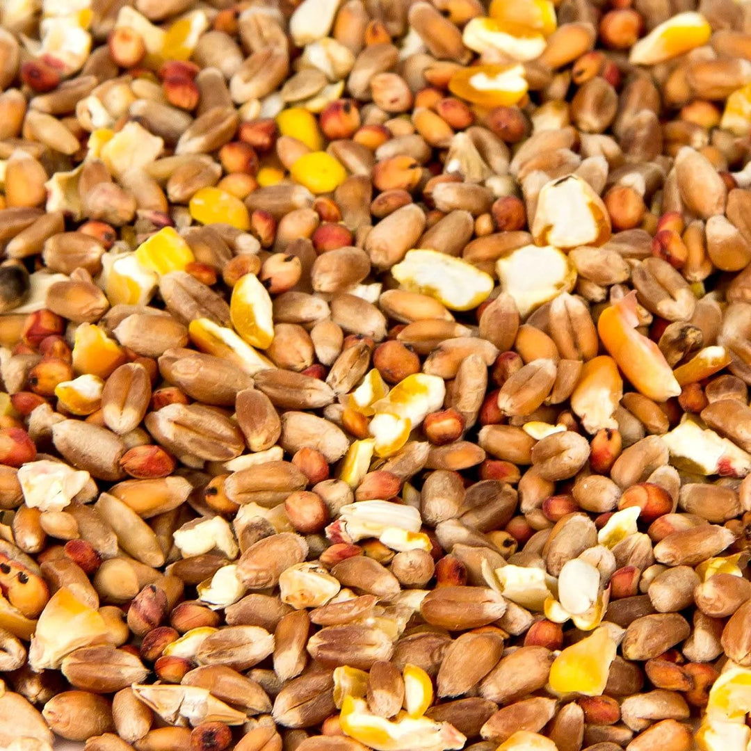 Leimüller Fasanenfutter 25 kg - Artgerechtes Futter ohne GVO und Staub