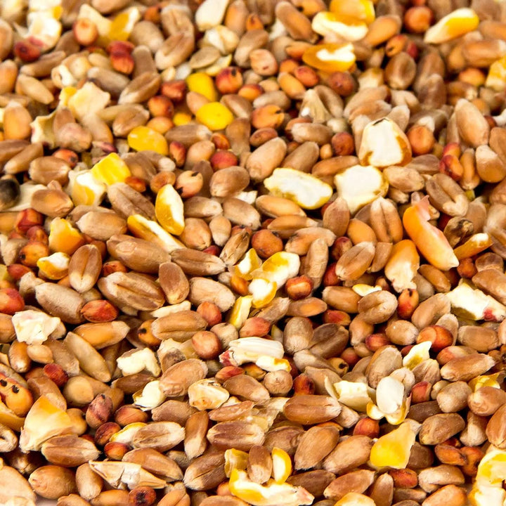 Leimüller Fasanenfutter 25 kg - Artgerechtes Futter ohne GVO und Staub