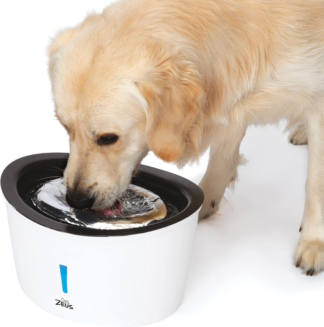 Cascade Trinkbrunnen für Hunde mit Edelstahleinsatz, 6 L
