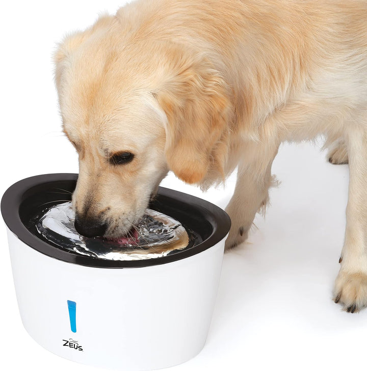 Cascade Trinkbrunnen für Hunde mit Edelstahleinsatz, 6 L