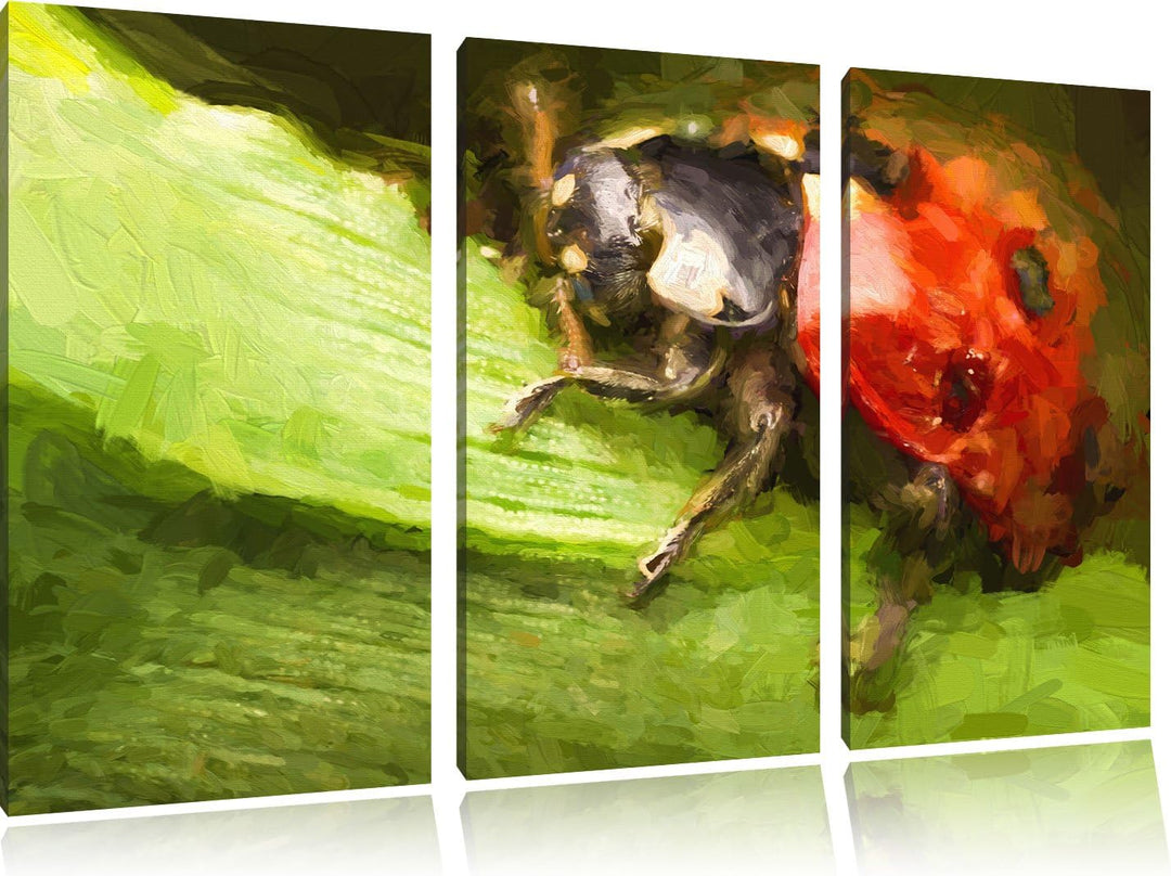 Pixxprint Marienkäfer in Detailaufnahme als Leinwandbild/Grösse: 3 Teilig (120x80) cm/Wandbild/Kunst
