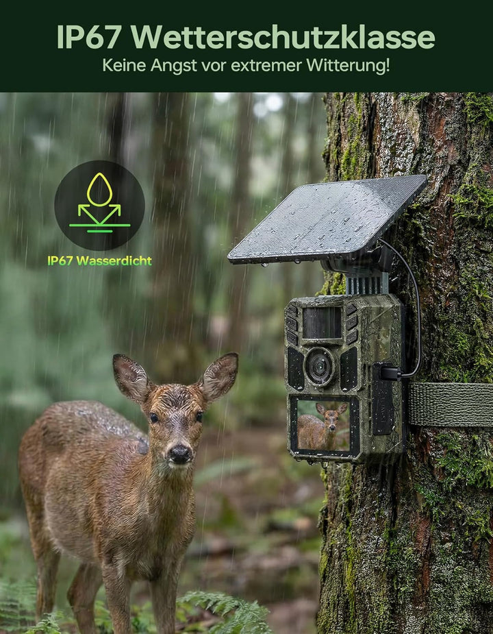 Wildkamera mit Handyübertragung App,Wildtierkamera 4K 64MP WLAN Solar mit Lithium-Batterie, Bewegung