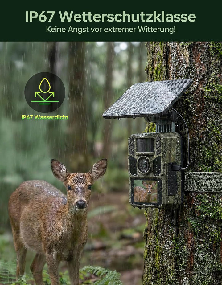 Wildkamera mit Handyübertragung App,Wildtierkamera 4K 64MP WLAN Solar mit Lithium-Batterie, Bewegung