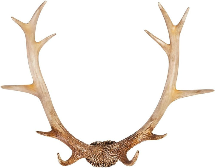Hansmeier® Geweih Rustikal| Vintage-Natur | Für Innen, Aussen, Balkon & Garten | 54 x 40 x 14 cm | D