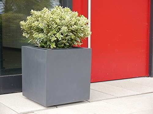 Pflanzkübel für Rollen aus Fiberglas in anthrazit - Grösse (LxBxH): 60x60x60 cm, 60x60x60 cm