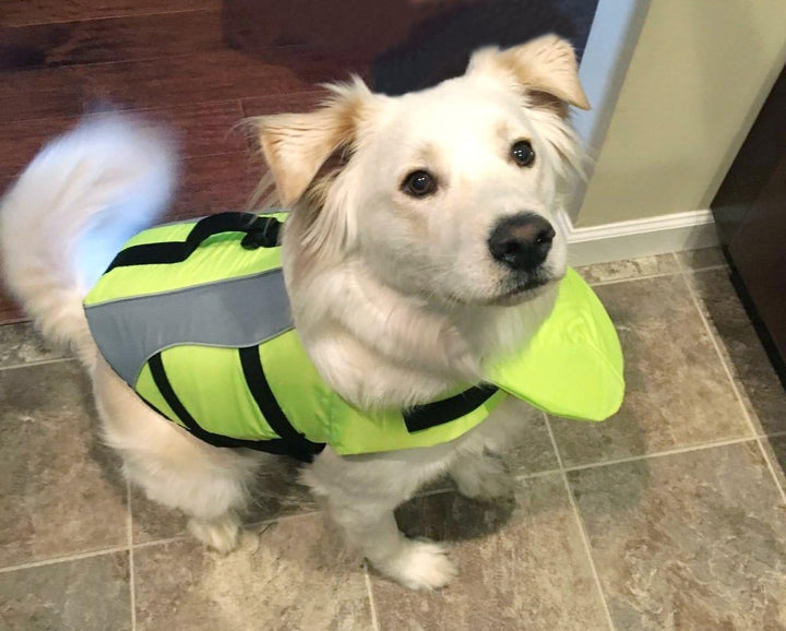 VIVAGLORY Hunde Schwimmweste mit abnehmbarem Frontauftrieb, Rettungsweste mit Reflektierenden Besätz