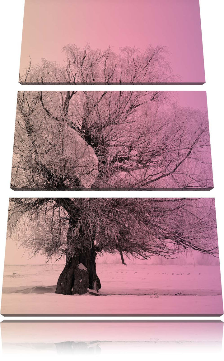 Pixxprint verschneite Bäume im Nebel schwarz/weiss 3-Teiler Leinwandbild 120x80 Bild auf Leinwand