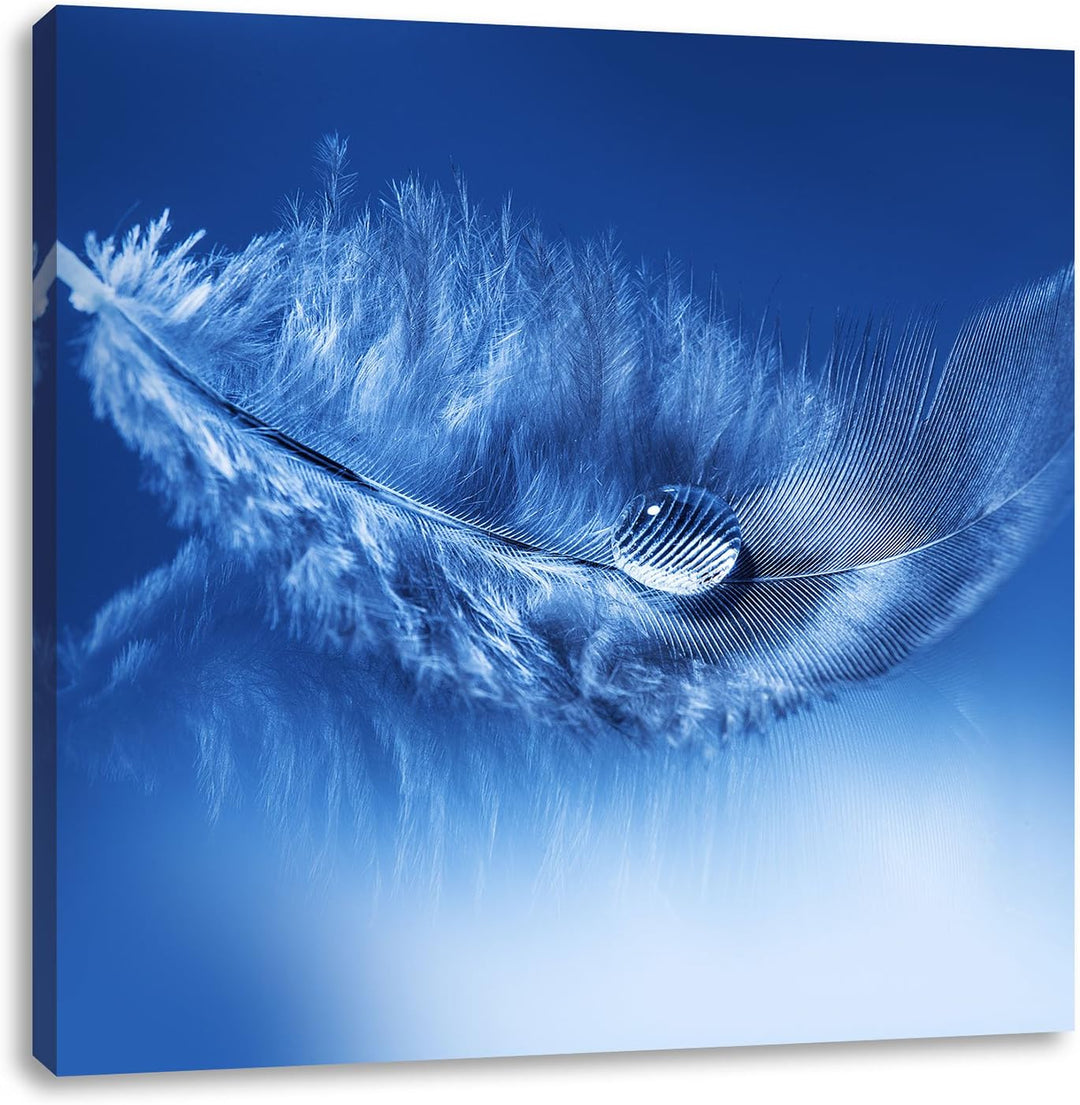 Wassertropfen auf Feder, Format: 70x70 auf Leinwand, XXL riesige Bilder fertig gerahmt mit Keilrahme