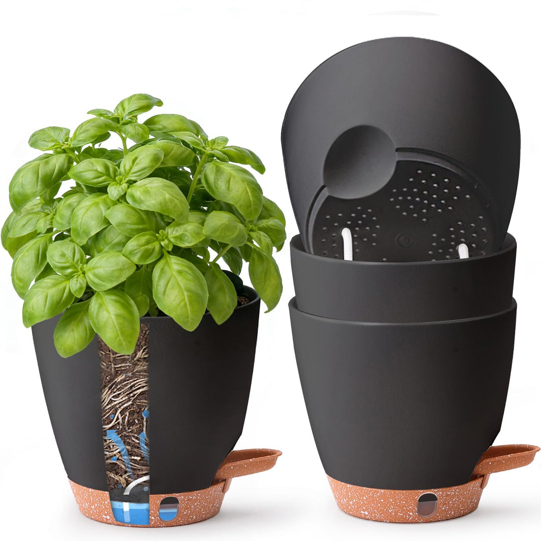 T4U 15cm 4er Set Selbstbewässernder Kräutertopf für Fensterbank & Küche – Basilikum, Petersilie, Sch
