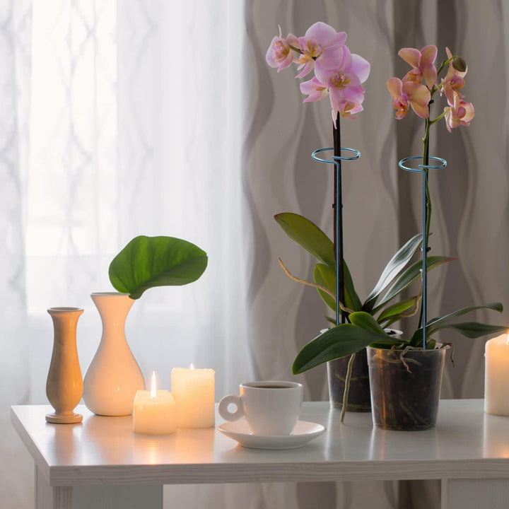 JIALWEN 8 Stück 60 cm Pflanzenstütze, Garten-Einzelstiel-Metall-Pflanzenstützpfahl mit 10 Pflanzenbi