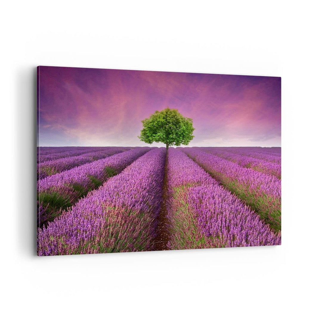 Bilder auf Leinwand 100x70cm Leinwandbild Wiese lavenda Sommer Landschaft Gross Wanddeko Bild Schlaf