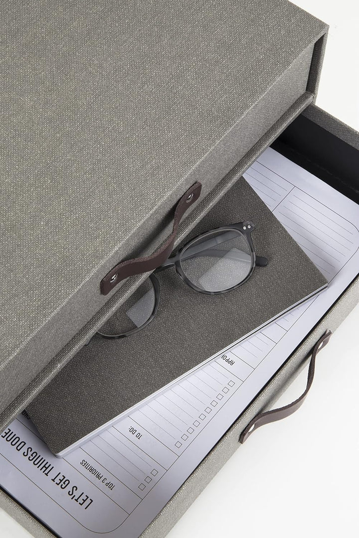Bigso Box of Sweden Mini-Kommode für Dokumente und Büromaterial – Schreibtisch-Organizer mit 2 Schub