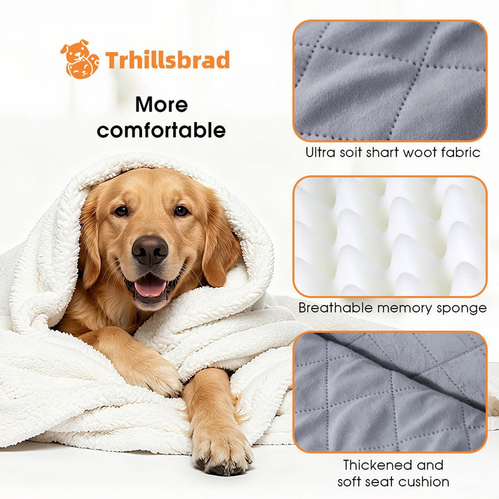Hunde autositz für mittlerer/grosse Hunde, 2 Klipsbare Verstellbare Sicherheitsleine, Autohundebett