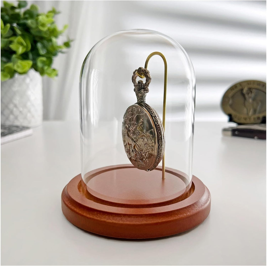 Plymor 7,6 x 10,2 cm Armbanduhr/Ornament-Glas-Display, gewölbte Glocke (MDF-Basis und Messingdraht)