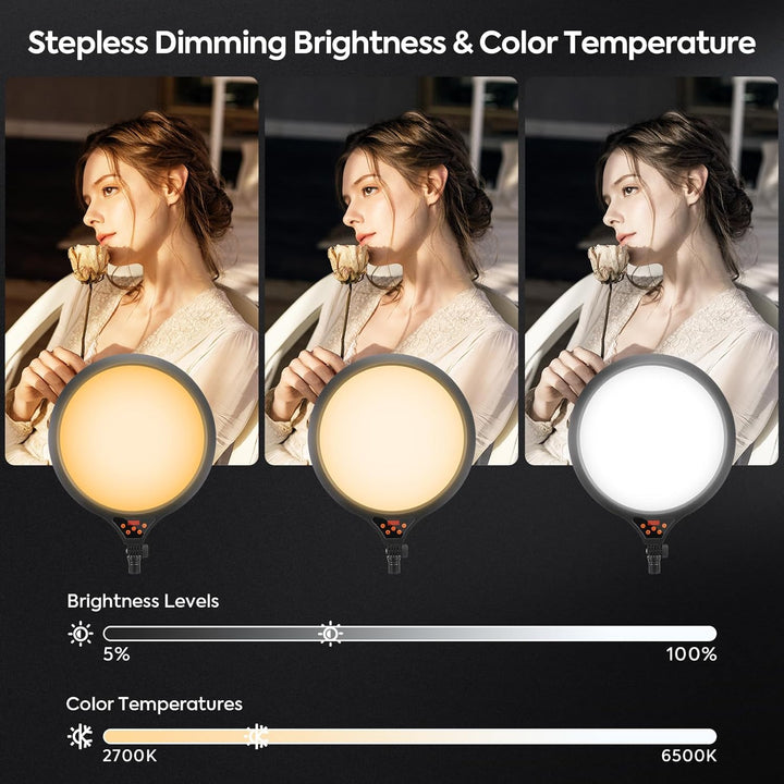 LED Videolicht 35CM, Ringlicht mit Stativ Stufenlose Dimmbare 2700-6500K Digitales Anzeigefeld Handy