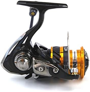 Daiwa 19 Ninja BG LT 2000 XH Rolle