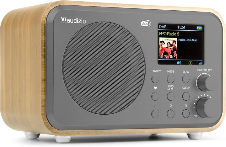Audizio Milan DAB Radio mit Bluetooth, 10 Stunden Akku Radio 2000 mAh, Radiowecker mit Sleeptimer, L