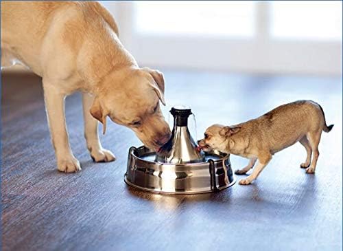 NEOUZA Premium Charcoal Filters Replacement Compatible for PetSafe Drinkwell 360 Stainless Multi-Pet