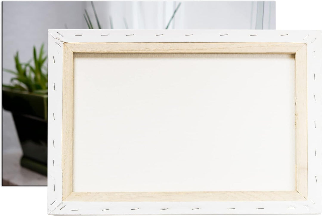 deyoli hausliche Pflanzen Format: 80x60 als Leinwandbild, Motiv fertig gerahmt auf Echtholzrahmen, H